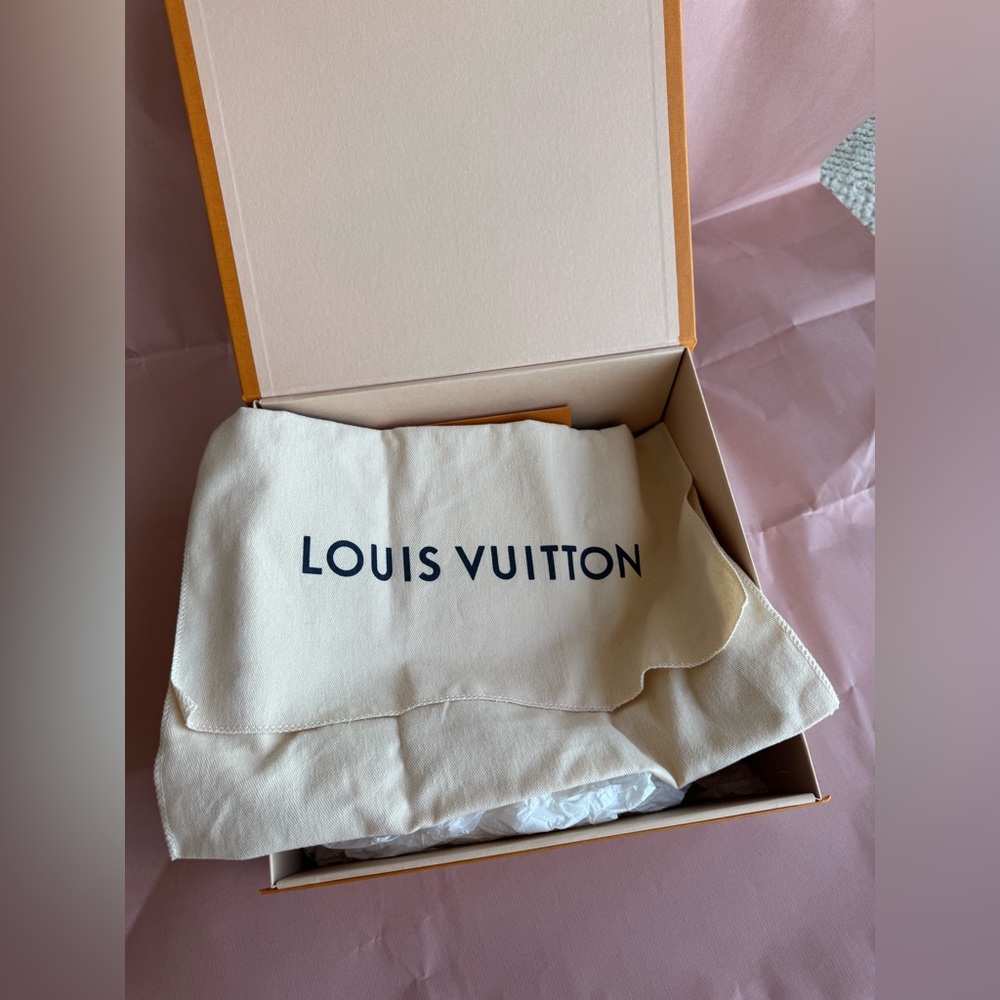 Louis Vuitton Palm Springs Mini - Picture 13 of 13